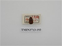 藏品(埔里胖絨毛金龜)的圖片